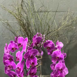 Purple orchid stems in a clear glass vase with tall twig accents
