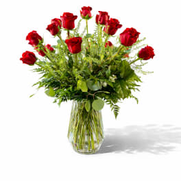Dozen Long Stemmed Red Roses 