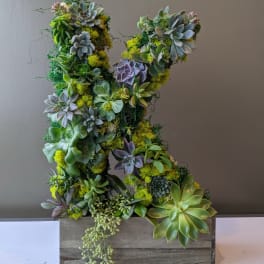 Succulicious Monogram Letter