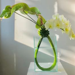 White orchids and green anthuriums in a clear glass vase