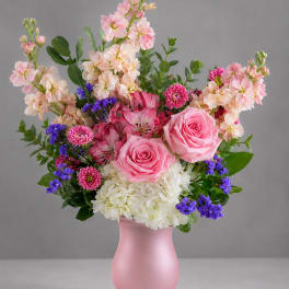 Pink Harmony 