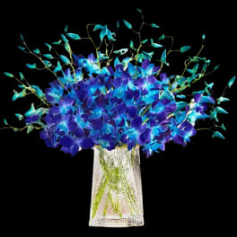 Ocean Blue Dendro Bouquet