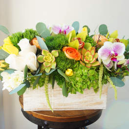 Creative Garden 