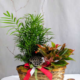 Tropical Harmony Basket