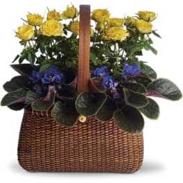Yellow roses and purple violets in a woven basket