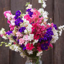 July Birthday flowers