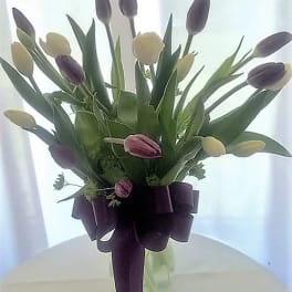 Bouquet of purple and cream tulips tied with a dark ribbon