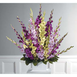 Glads Galore