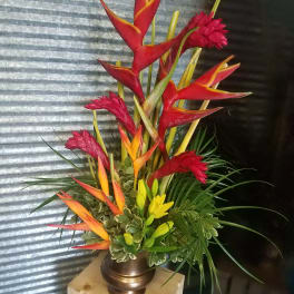 Terrific Tropical