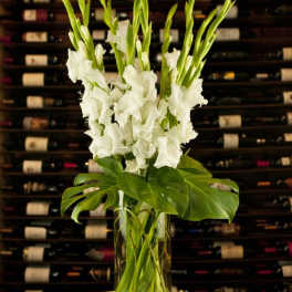 White Glads with Tropical leaves