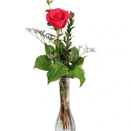Single red rose in a clear glass vase