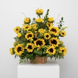 Sunflower Garden Funeral Basket