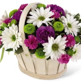 Blooming Bounty