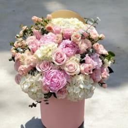Lovely Pink