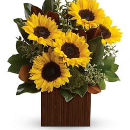 Sunflower arrangement in a wooden box with dark green foliage
