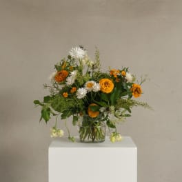 Gaia - Sustainable and Local (Designer's Choice)