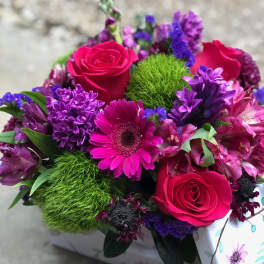 Fiori: purples, red and green flowers