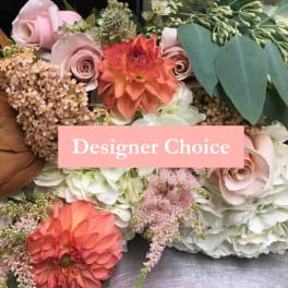 Pastel Collection: Designer Choice