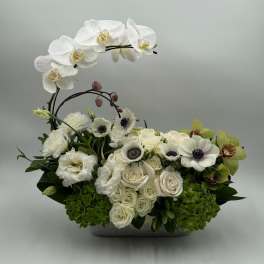 White orchids and roses arranged in a low rectangular container