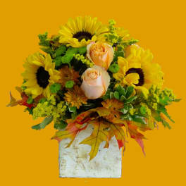 Sunflower and peach rose arrangement in a white birch-style container