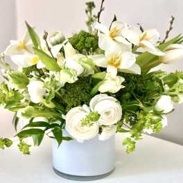 Clean whites + brights- Spring edition!