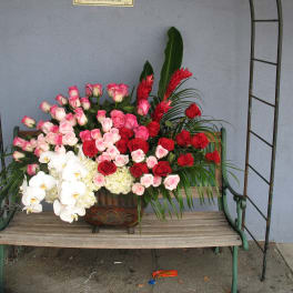 Orchd Roses Hydrangea #52