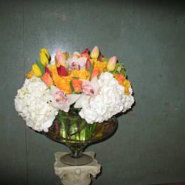 Roses, Tulips everything nice #49