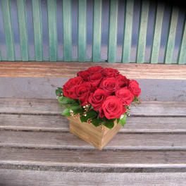 Roses #9
