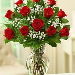 Red roses arranged in a clear glass vase with white filler flowers