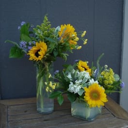 Two sunflower bouquets in glass vases on a wooden table