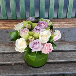 Roses & orchids #59