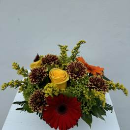 Mixed bouquet with red gerbera, yellow rose, and burgundy chrysanthemums