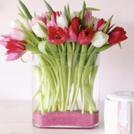 Pink, red, and white tulips in a clear glass vase