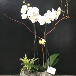 White orchid arrangement in a gray planter with a small bird decoration