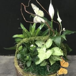 Basket planter with green foliage, white blooms, and butterfly decorations