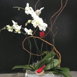 White orchids in a silver rectangular planter with red accents