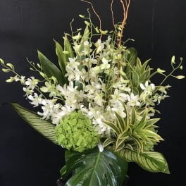 White orchid arrangement with green hydrangea and striped leaves in a vase