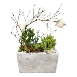 Succulent Shelter Planter