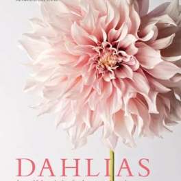 Dahlias Hardcover Book