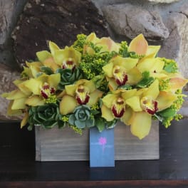 Yellow orchids arranged in a wooden box with succulents