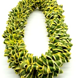 "Lucky You!"
