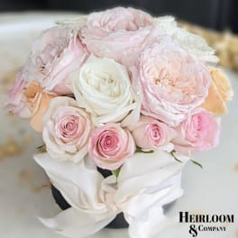 Blush and white rose bouquet with a satin ribbon wrap