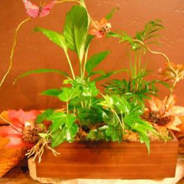 Potted arrangement with green ivy and orange flowers in a wooden planter