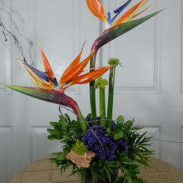 Tropical bird-of-paradise arrangement in a dark vase with purple flowers