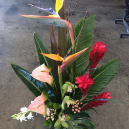 Tropical arrangement with bird of paradise, pink anthuriums, and red ginger flowers