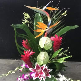Tropical arrangement with bird of paradise, orchids, and anthuriums