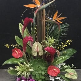 Tropical floral arrangement with birds of paradise and anthuriums