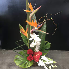 Tall tropical arrangement with orange bird-of-paradise, red roses, and white orchids
