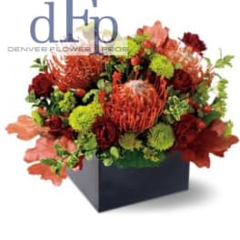 Autumn floral arrangement in a black square box with red and green blooms