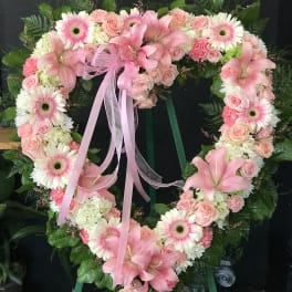 Amazing Heart